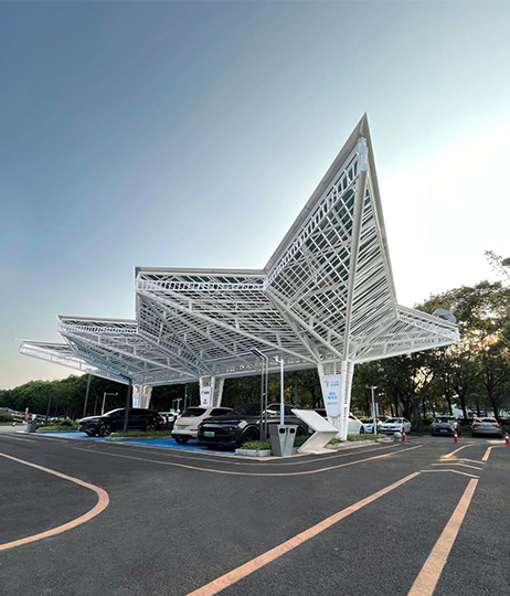 Municipal Transportation